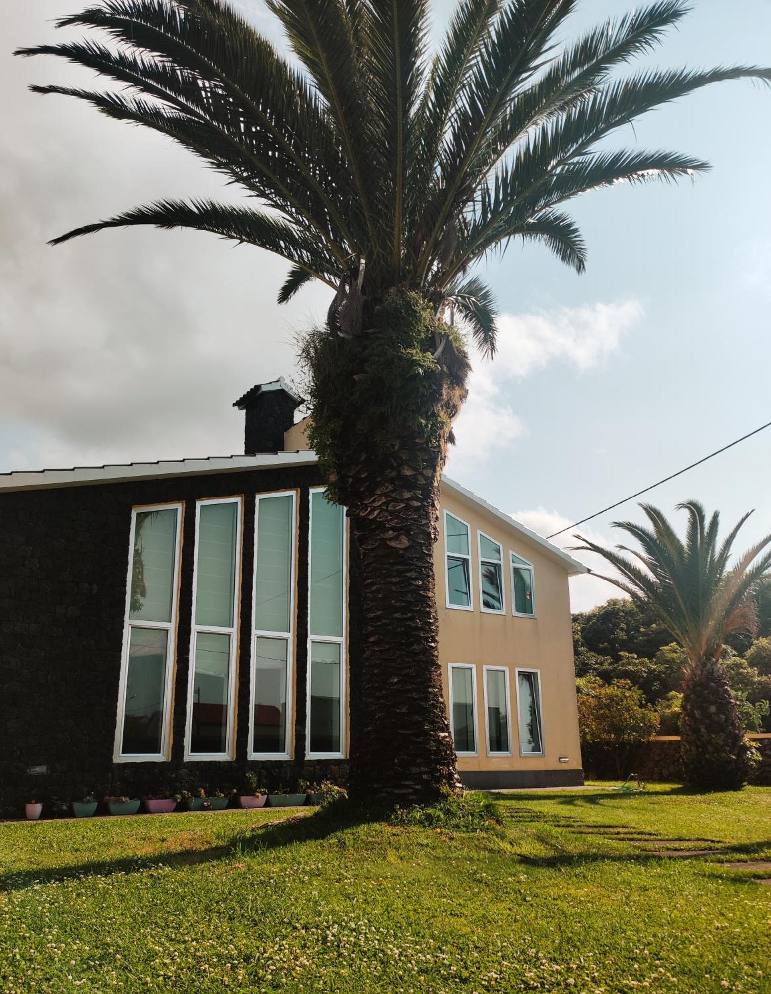 Ferienwohnung Palmtree 37 Al Praia da Vitória Exterior foto